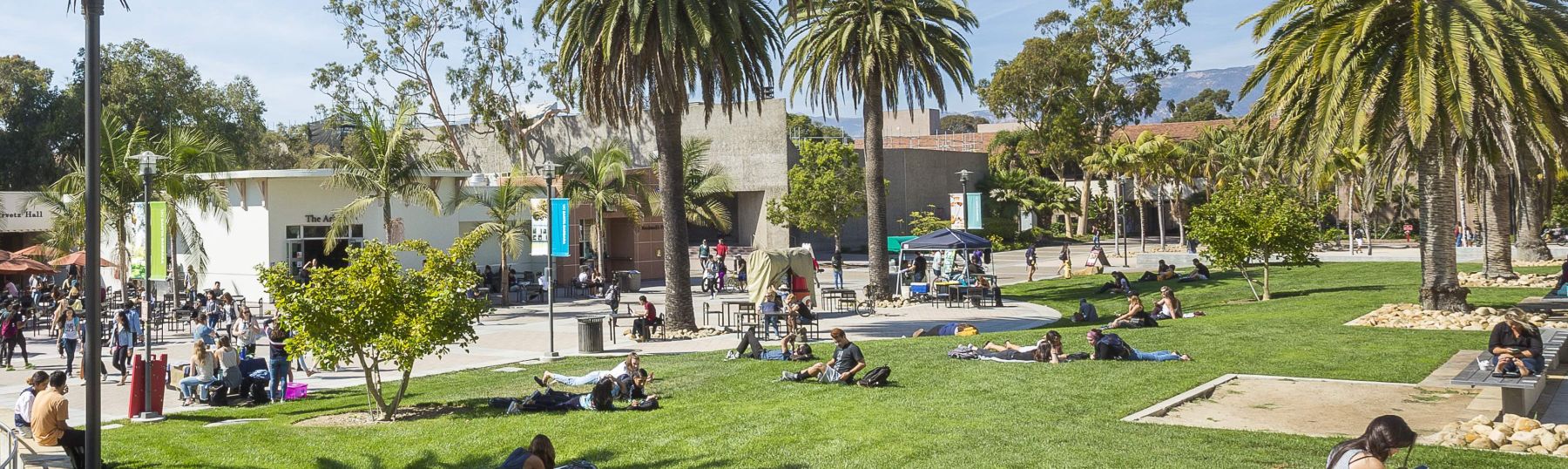Photo of the Arbor Quad